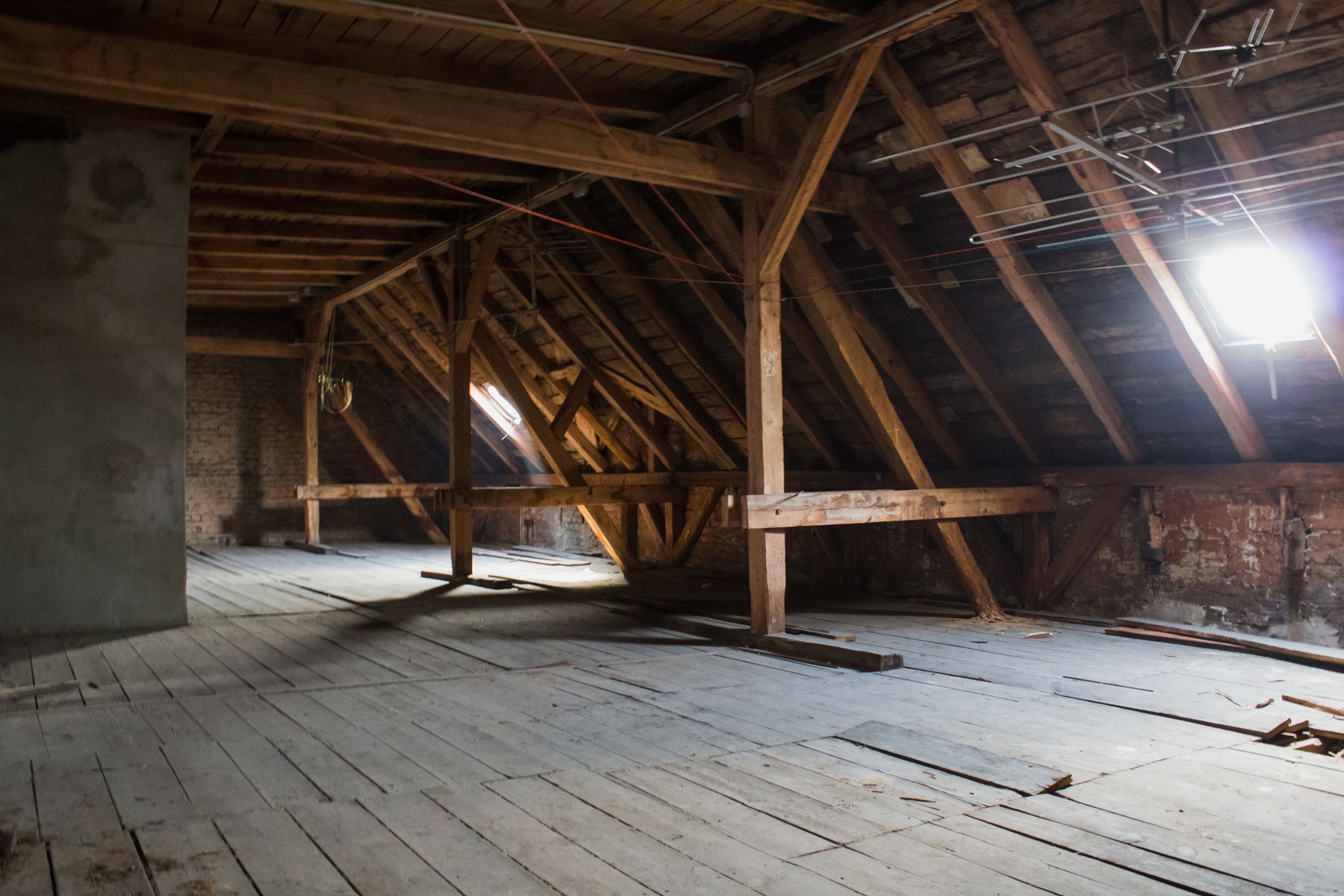 Attic mold removal in St. John's
