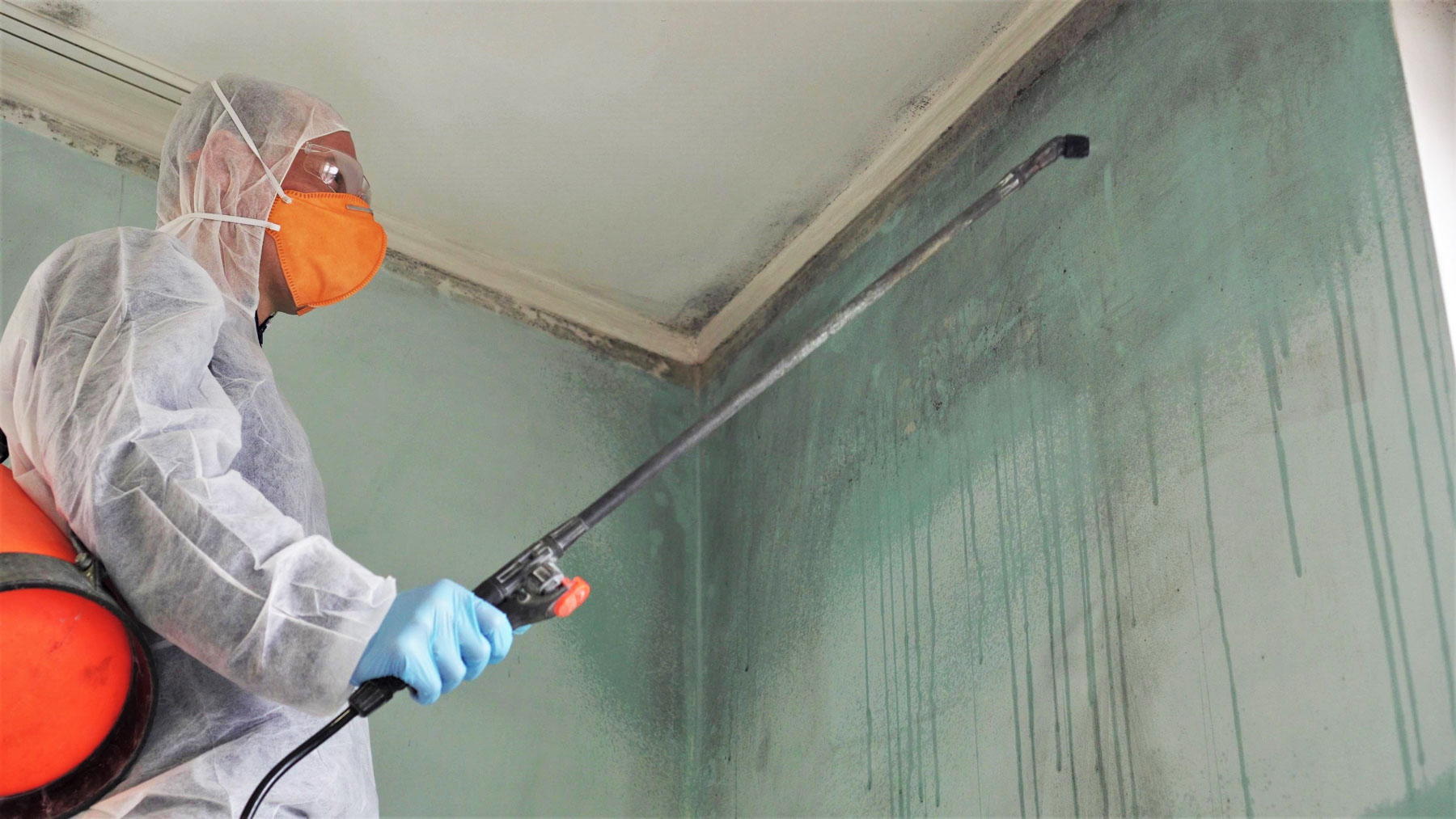 Bathroom mold removal in St. John's